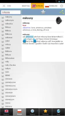 Polish best dict android App screenshot 2